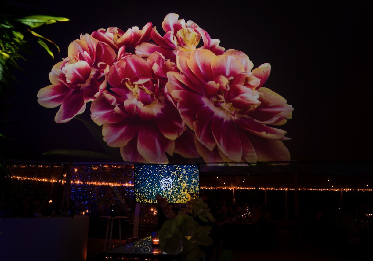 Immersive Marquee Projection TomTom Productions